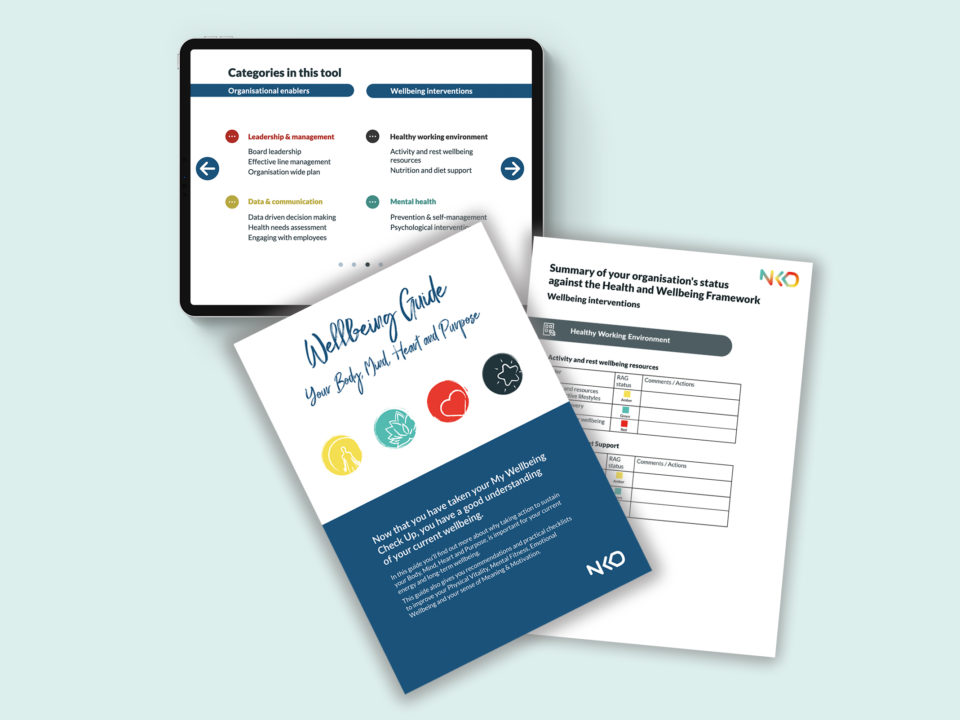 pages showing the sections of the wellbeing toolkit. Status assessment and explanatory guide